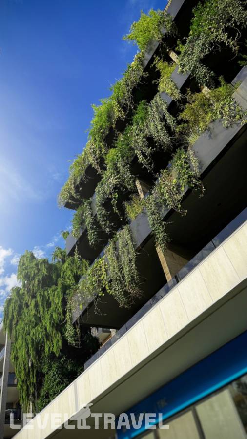 фотографии отеля Bamboo Garden в Грузия(Кобулети) - фото №24