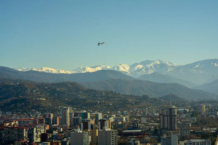 Komunna Luxe — фото 9