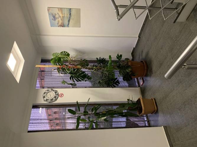 My House Gonio — фото 3