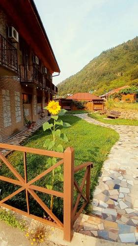 Старый Боржоми — фото 34