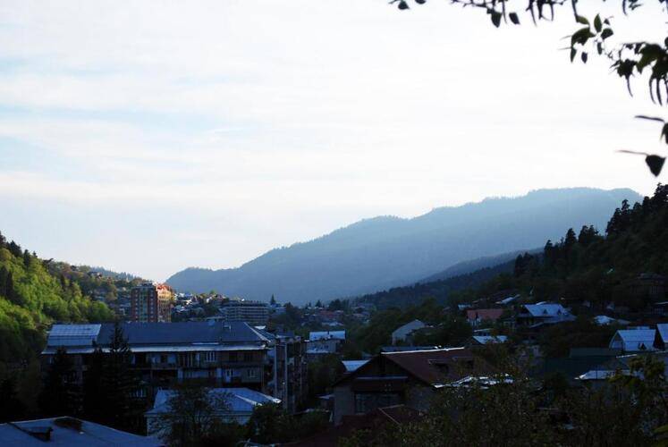 Старый Боржоми — фото 13