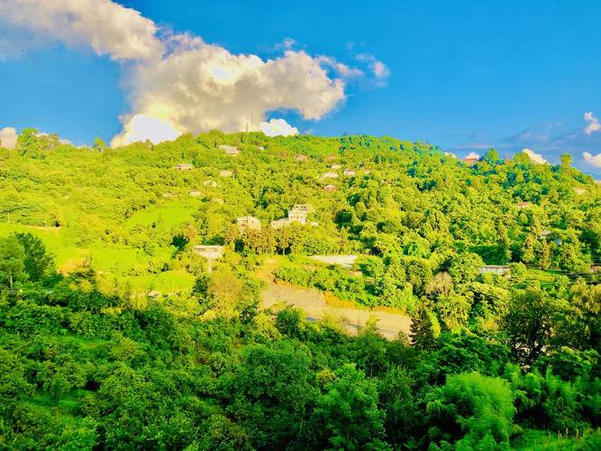 Holiday House Green Gape Batumi