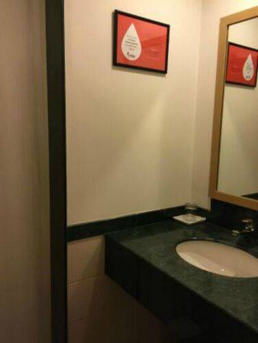 Red Fox By Lemon Tree Hotels, Delhi Airport