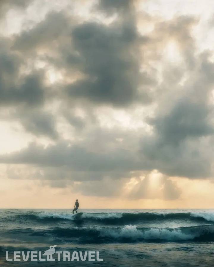 фотографии отеля Spaceland Mandrem в Индия(Мандрем) - фото №7