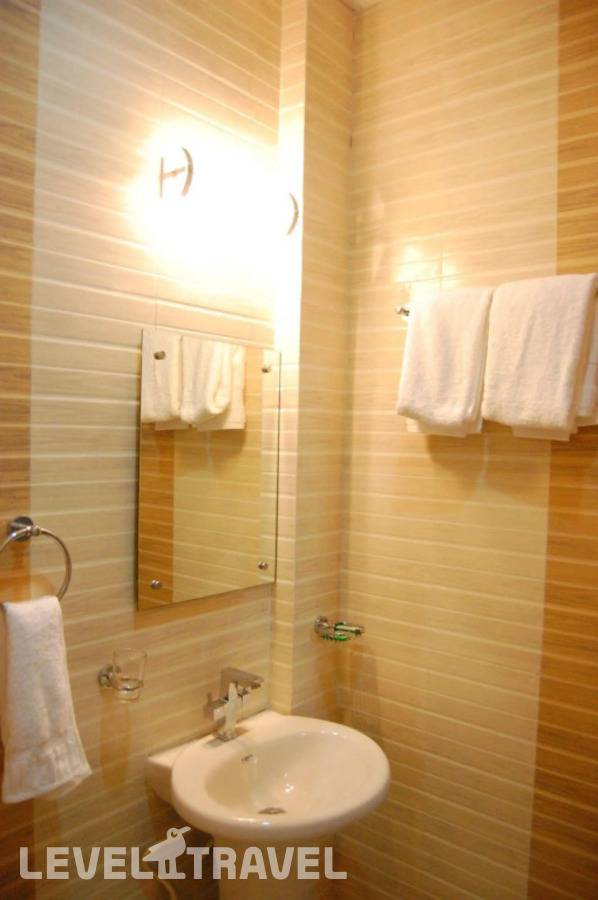 фотографии отеля Hotel Delhi Aerocity в Индия(Нью-Дели) - фото №9