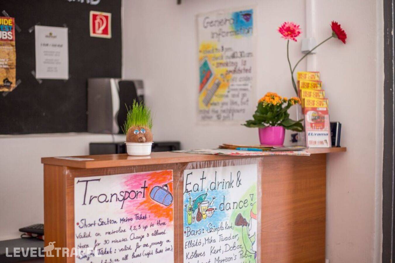 фотографии отеля Island Hostel - Adults Only в Венгрия(Будапешт) - фото №4