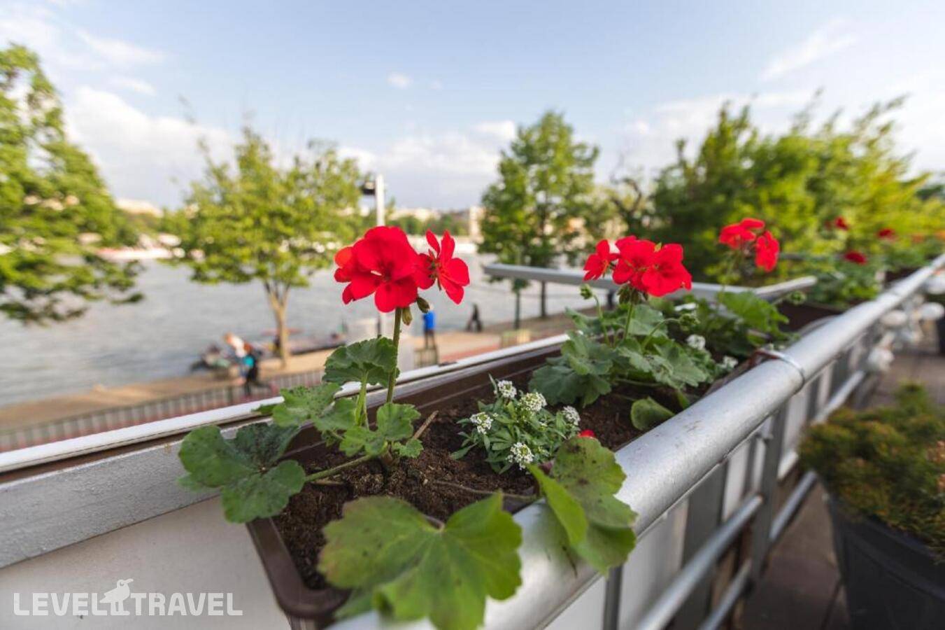 фотографии отеля Island Hostel - Adults Only в Венгрия(Будапешт) - фото №18