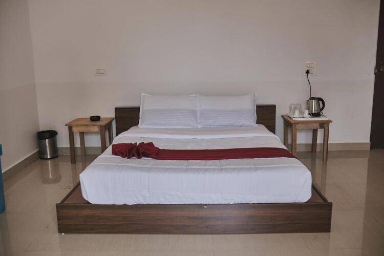 Woodpegger By The Beach