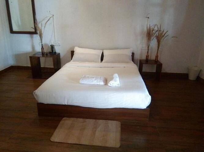 Woodpegger By The Beach