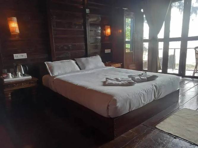 Woodpegger By The Beach