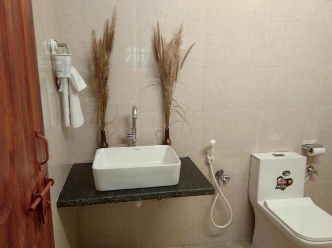 Woodpegger By The Beach