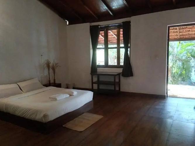 Woodpegger By The Beach