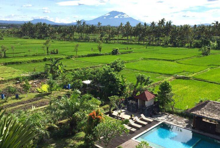 Collection O Ubud Near Central Ubud Formerly Hotel Suly