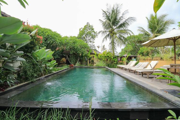 Bali Sunshine Ubud