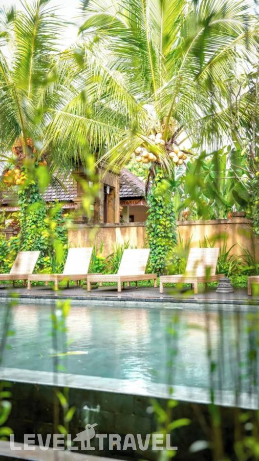 фотографии отеля Swahita в Индонезия(Убуд) - фото №39