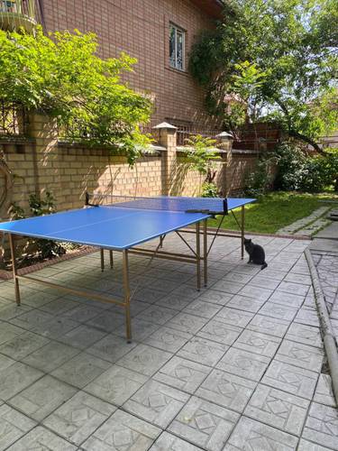 Хостел Cats&Beds