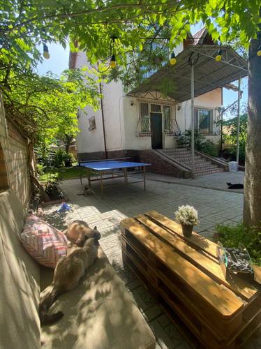 Хостел Cats&Beds