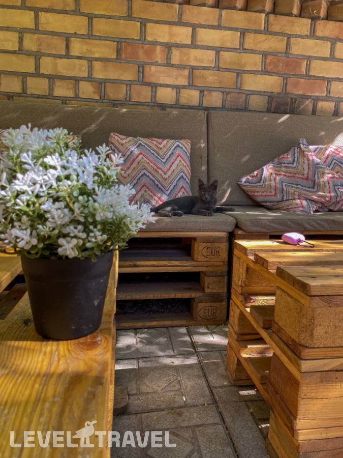 фотографии отеля Хостел Cats & Beds в Киргизия(Бишкек) - фото №3