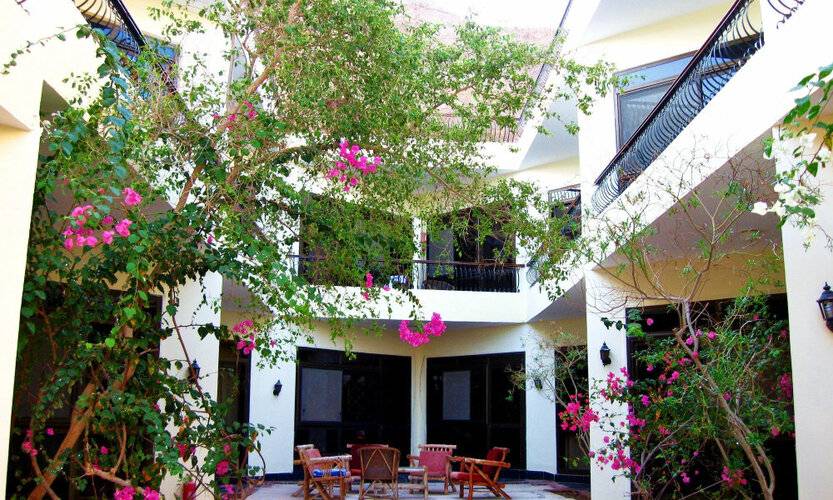 Горящий тур в Египет — отель Dahab Bay Hotel (Дахаб)
