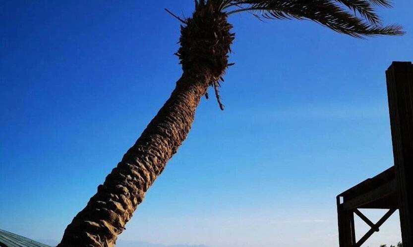 El Primo Dahab Hotel