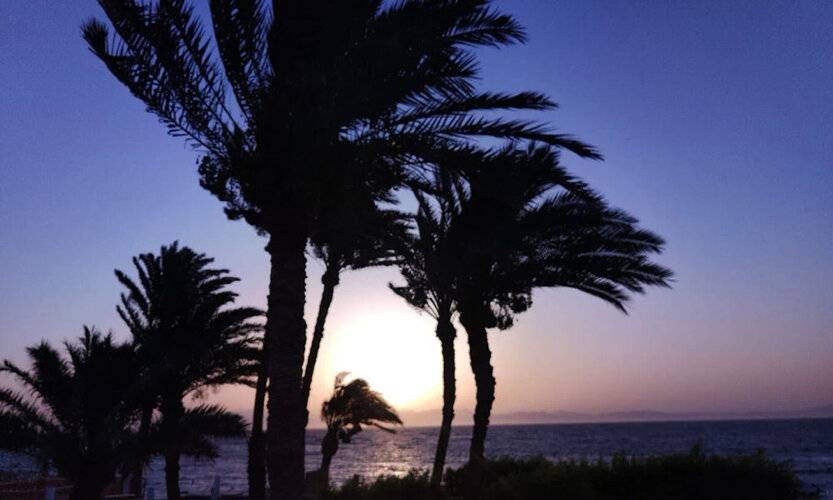 El Primo Dahab Hotel