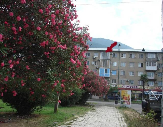 Апартаменты На Улице Абазгаа 49/1