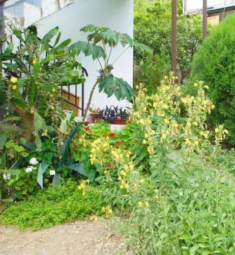 Жилое Помещение Артын