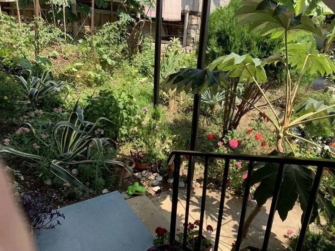 Жилое Помещение Артын