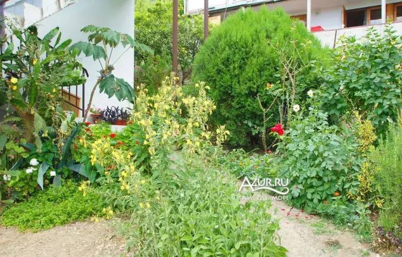 Жилое Помещение Артын