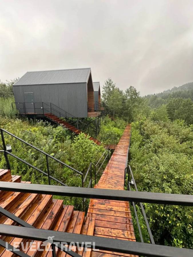 фотографии отеля 11 Гор Алтая в Россия(Белокуриха) - фото №4