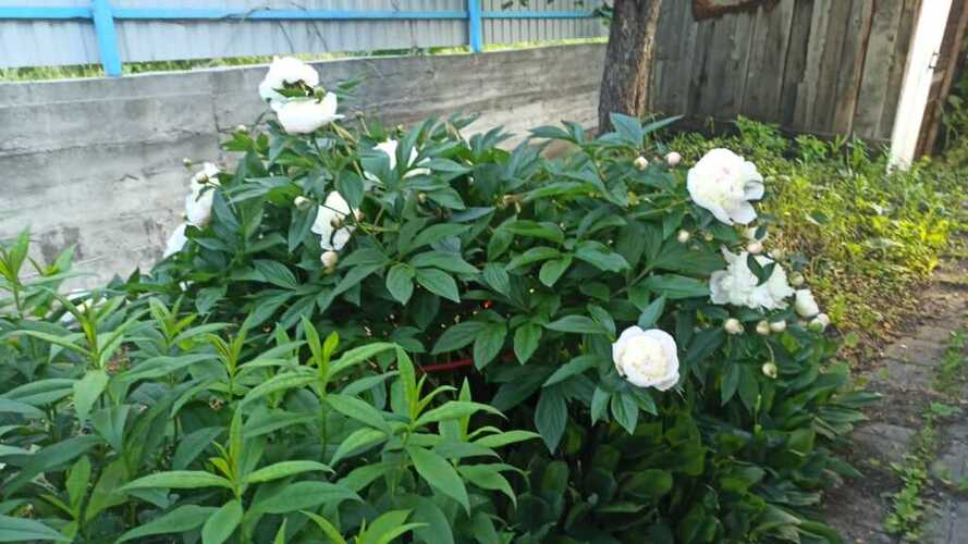 Частный Дом У Предгорье Горы