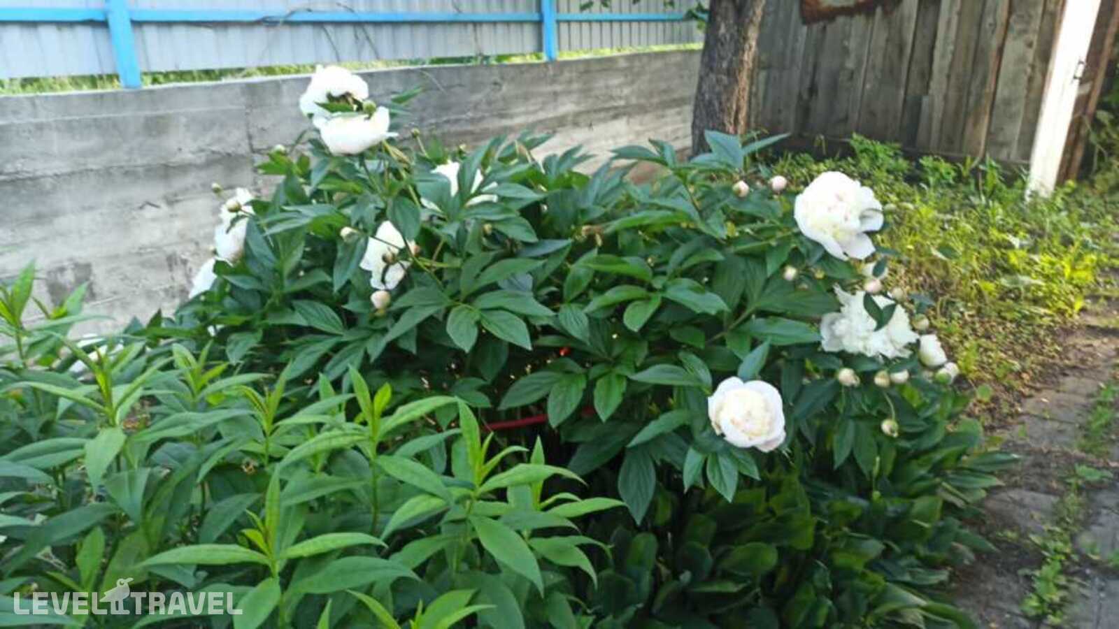 фотографии отеля Частный Дом У Предгорье Горы в Россия(Белокуриха) - фото №6