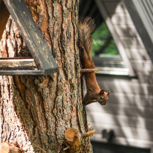 Кемпинг Белкин Дом