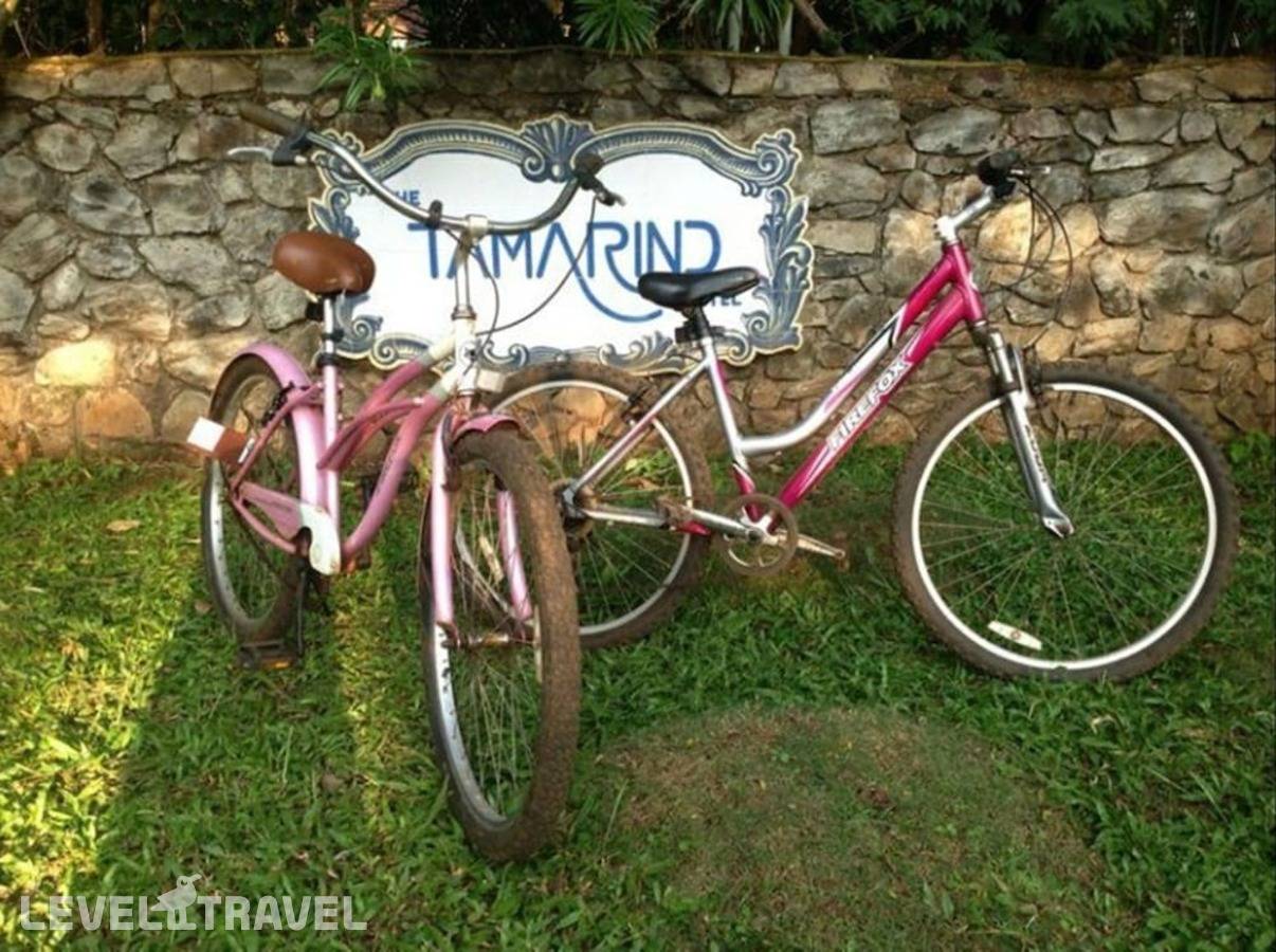 фотографии отеля The Tamarind Hotel в Индия(Панаджи) - фото №66