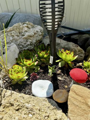 На Янтарной