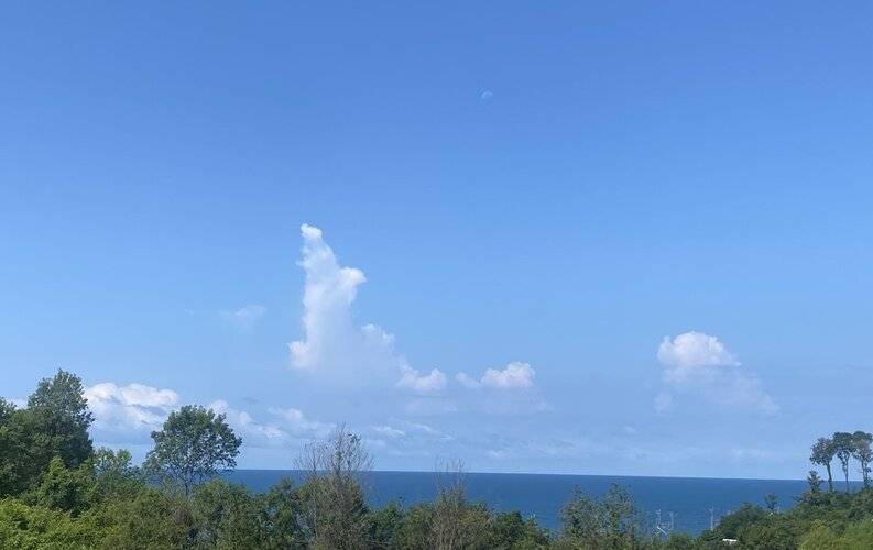 Тихая Гавань