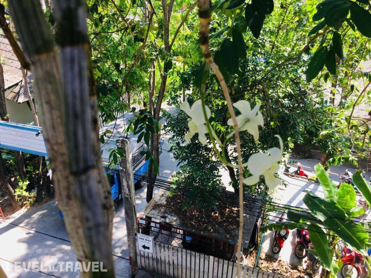 фотографии отеля Miss Hong House в Таиланд(Ко Самет) - фото №18