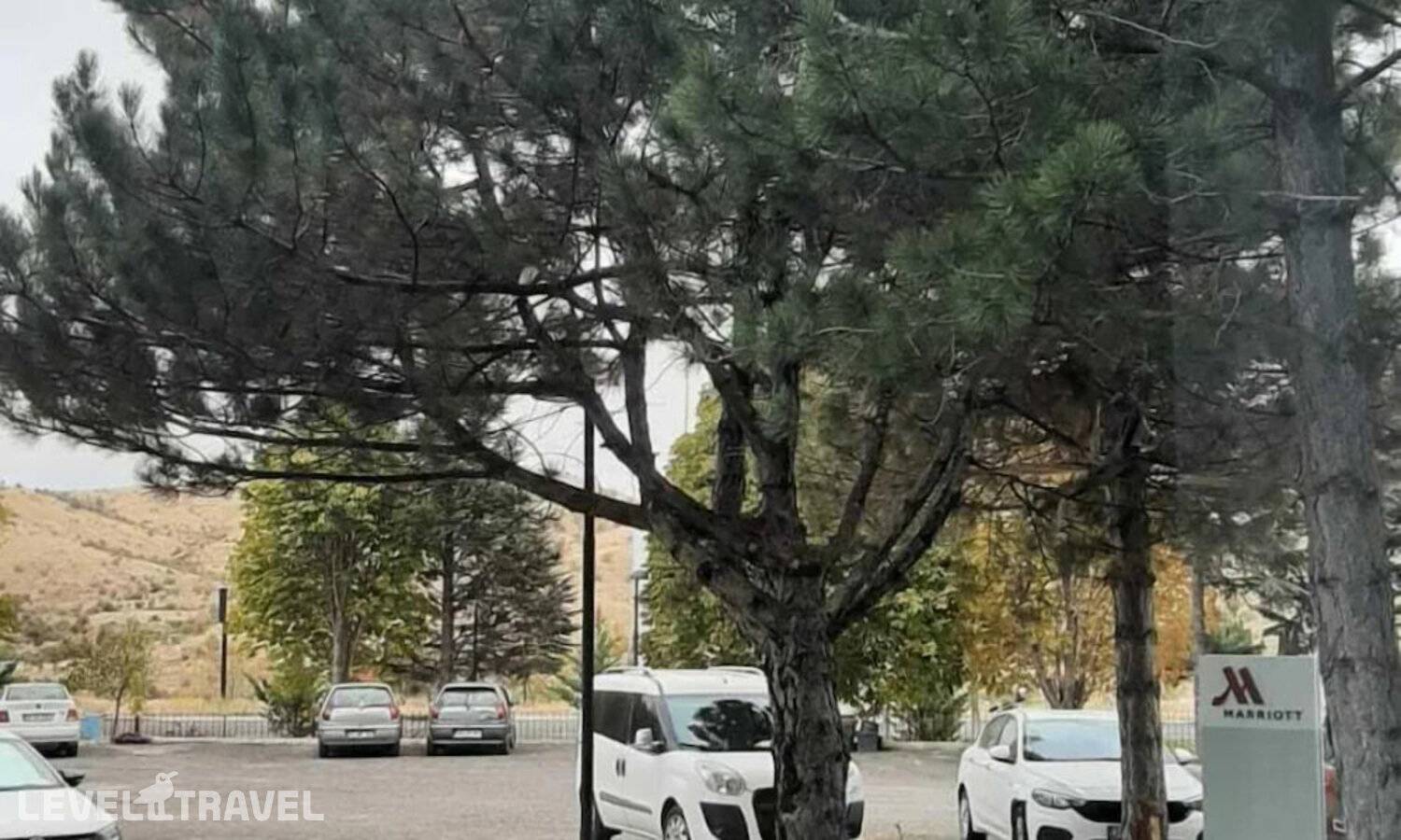 фотографии отеля Cappadocia Marriott Hotel в Турция(Невшехир) - фото №74