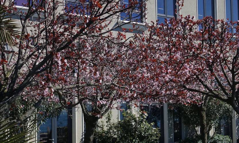 Vakko Hotel Sumahan Bosphorus