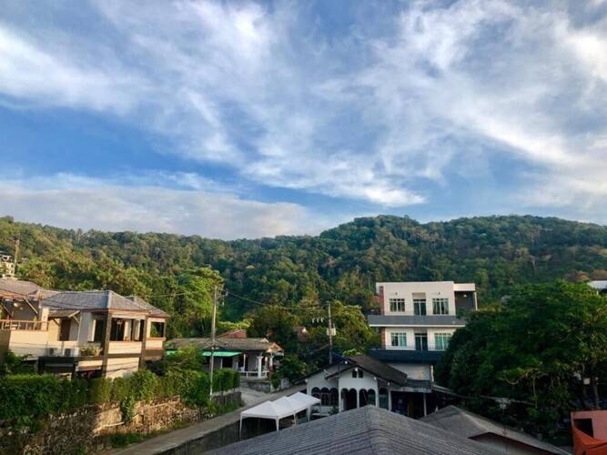 Tall Tree Kata Phuket