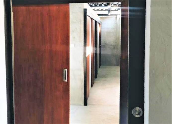 Tall Tree Kata Phuket