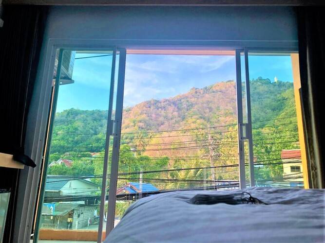 Tall Tree Kata Phuket