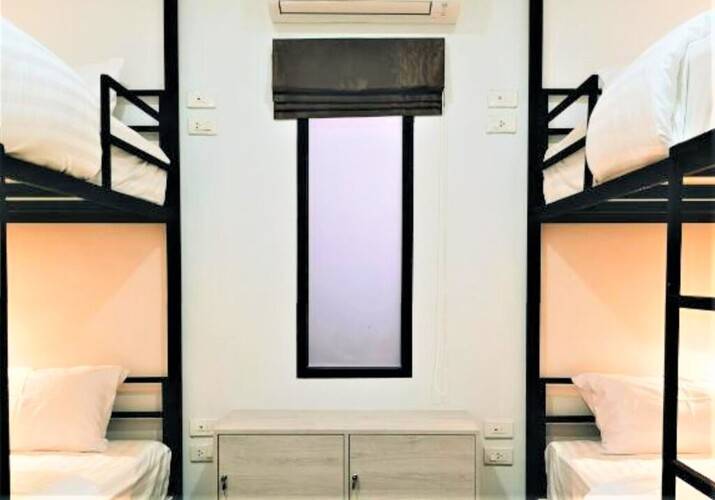 Tall Tree Kata Phuket