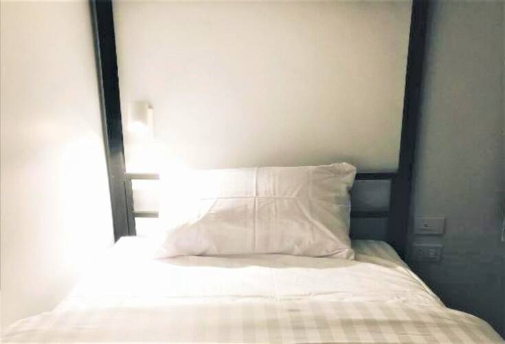 Tall Tree Kata Phuket