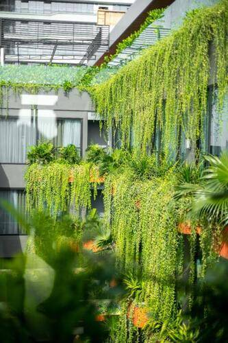 Chi House Danang