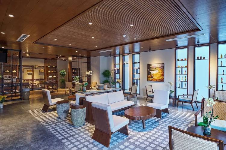 Little Oasis - An Eco Friendly Hotel & Spa