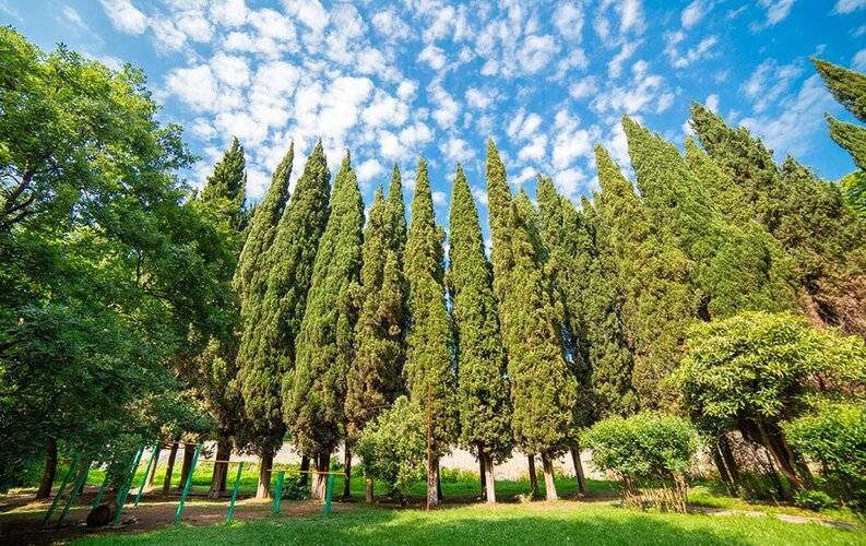 Лазаревский — фото 4