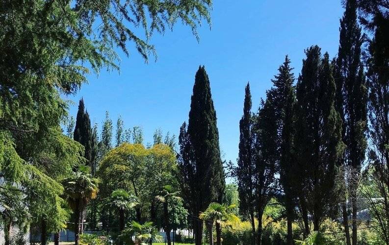 Лазаревский — фото 2