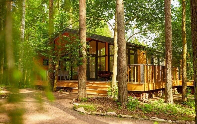 Репинские Дачи