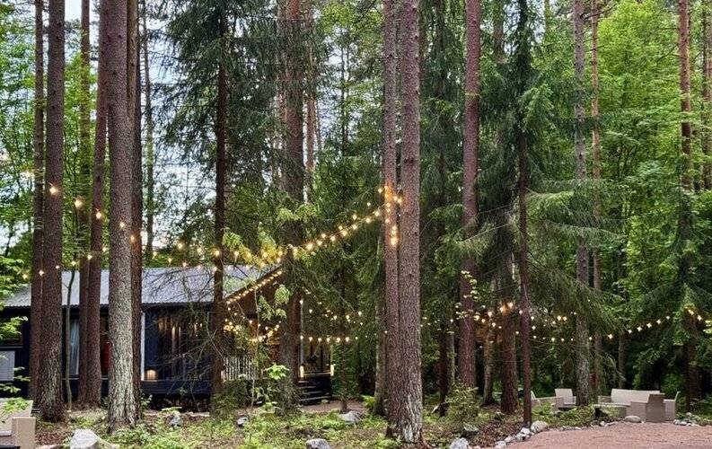 Репинские Дачи